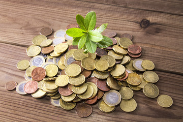 stack of coins and green leaf. savings and finance concept