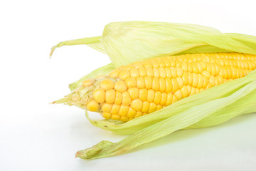 corn on the cob, husk organic food nature background