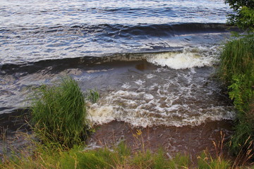 Waves with white foam on the dark water at the sandy shore with green vegetation