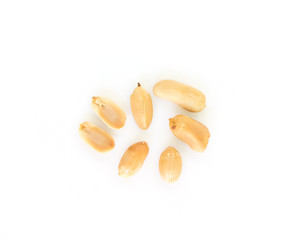 peanut on white background