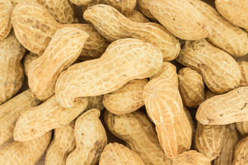 peanut in shell food nature background