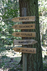 wegweiser im ruhewald rheinhessische schweiz