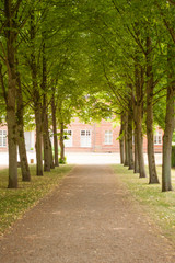 Allee in Plön