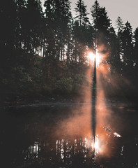 Morgenerwachen am Glaswaldsee