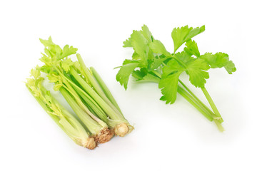 celery vegetable organic food healthy nature