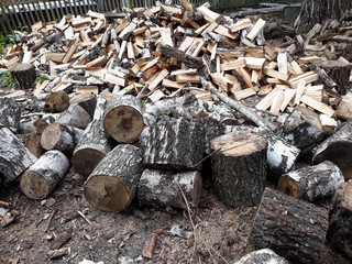 Firewood for fireplace or Russian oven