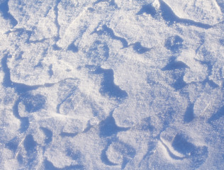 Sun on a snowy surface forming patterns and textures, cool shapes