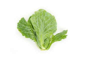 chinese kale top view on white background