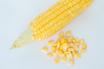 corn organic food nature on white background
