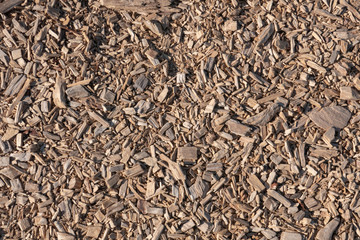 Ground covered with wooden chips