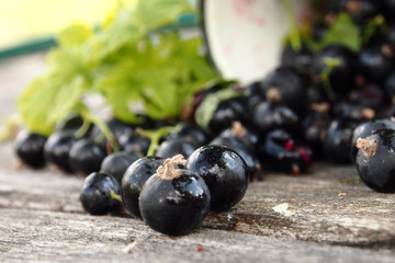 mug with black currant and leaves on a wooden table