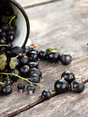 mug with black currant and leaves on a wooden table
