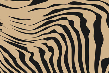 Close up Stripe Animal Pattern