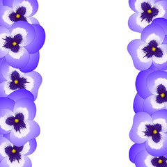 Violet Pansy Flower Border