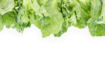 chinese kale frame, border top view on white background