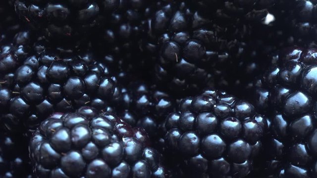 Macro Blackberry Rotation