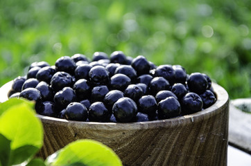 chokeberry in a wooden bowl in the morning garden