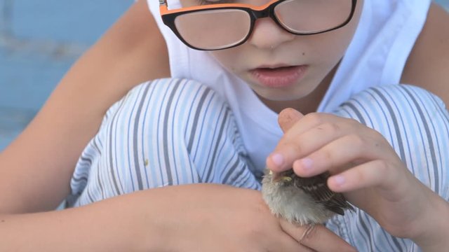 Children caught the sparrow and looked at it in their hands. The concept of respect for nature and animals.