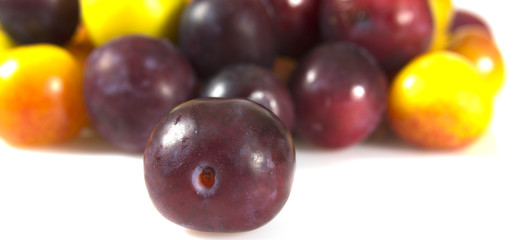 Plum fruit isolated on white background