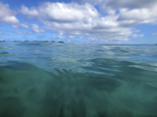 Fototapeta premium Sealife of Port Vila Harbor, Efate, Vanuatu