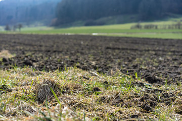 field for farming agricultural land