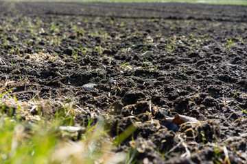 field for farming agricultural land