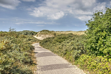 Fototapeta na wymiar Narrow brick road through a landscape with dunes and bushes near Rockanje, The Netherlands on a summer day