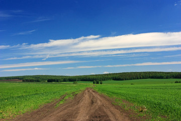 A dirt road in the field