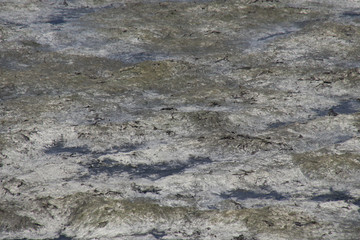 Low tidal bottom