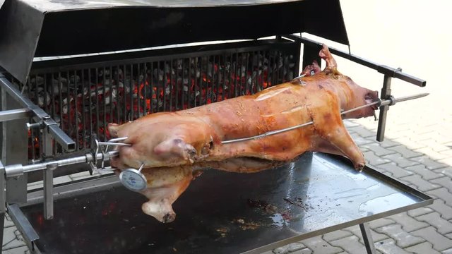 Suckling Pig BBQ 