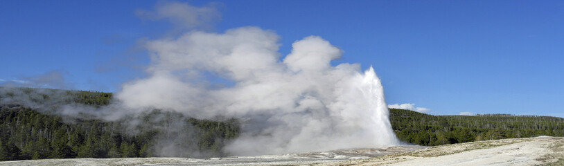 Fototapeta na wymiar Old faithful geyser in Yellowstone National Park