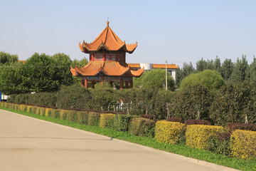 street landscape in a city