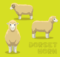 Sheep Dorset Horn Cartoon Vector Illustration