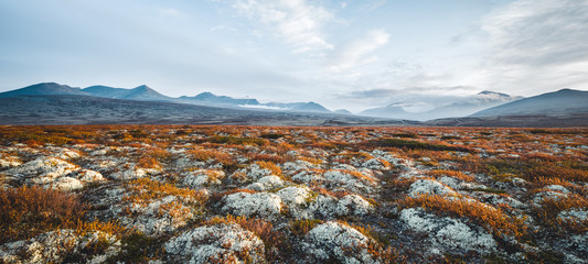 Norway Rondane Landscape