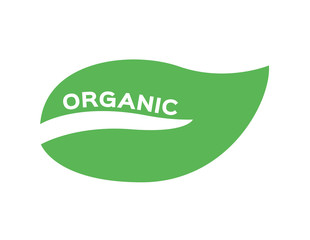 organic leaf and vegetable icon vector / food