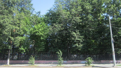 СИБИРСКАЯ