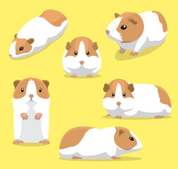 Cute Guinea Pig Poses Cartoon Vector Illustration