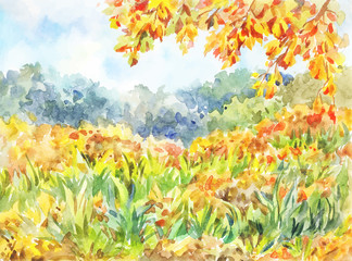 A simple autumn landscape with a meadow and orange leaves. Sunny warm day. Light hand-drawn illustration