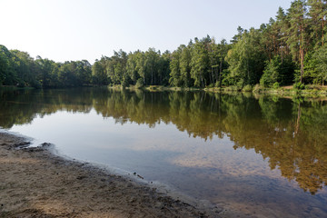 Beautiful forest lake with reflection of trees in the water