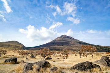 塚原温泉　別府温泉
