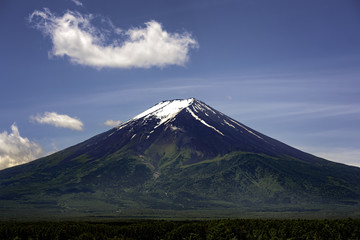 Fototapeta premium Fuji