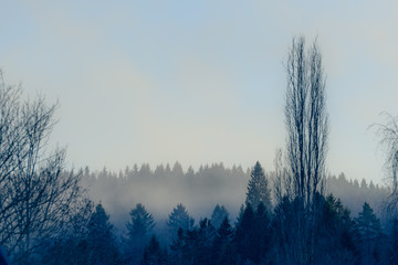 Fototapeta na wymiar foggy landscape
