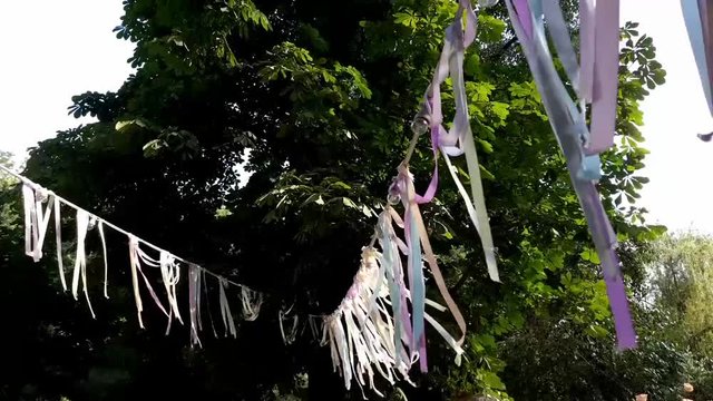 Party flags waving on the wind
