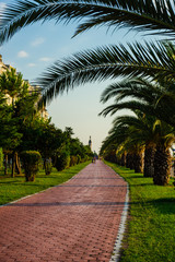 Obraz premium Batumi, capital city of Adjara