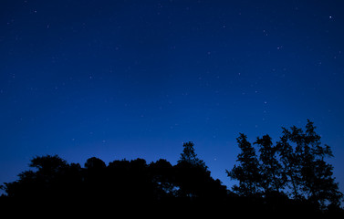 Stars in a North Carolina sky