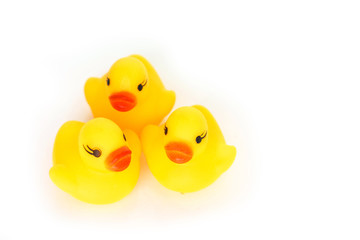 duck yellow on white background
