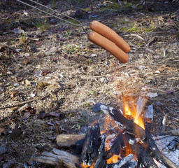 Hot dogs over a campfire