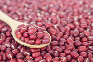 red bean seed vegetable nature food background