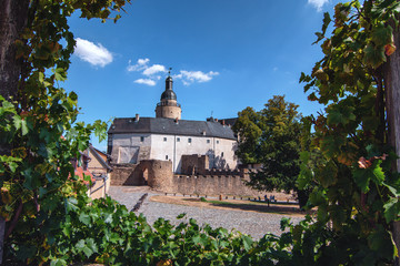 Burg Falkenstein im Harz