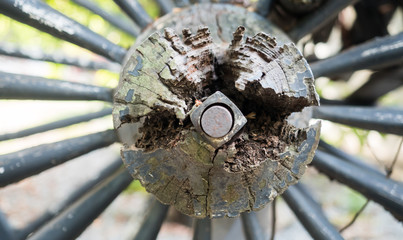 Wood carving cart wheel close up